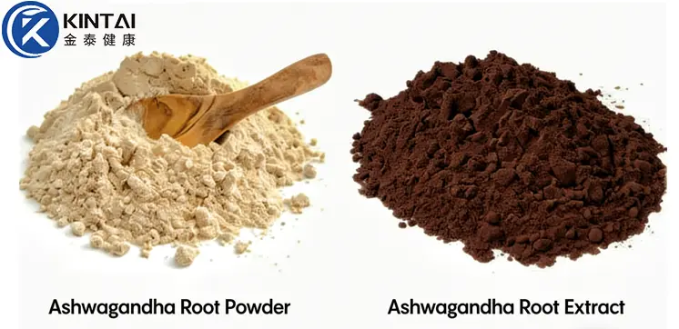Difference between Ashwagandha Powder and Extract Difference between Ashwagandha Powder and Extract