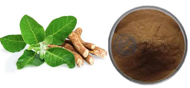 Withanolides Powder Plant Source Withanolides Powder Plant Source