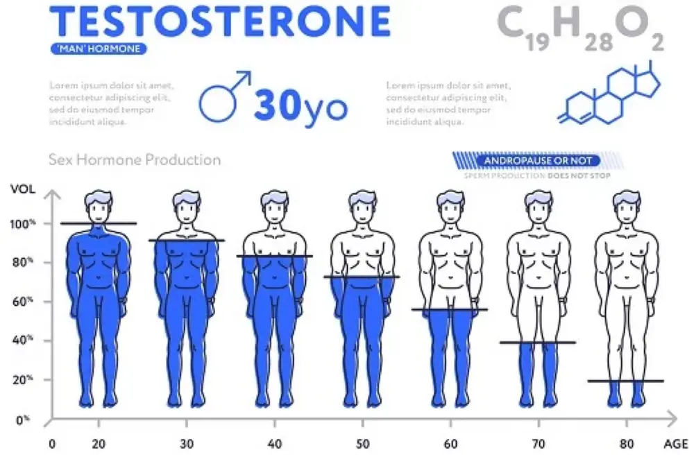 Why Is Testosterone a Critical Hormone for Males?