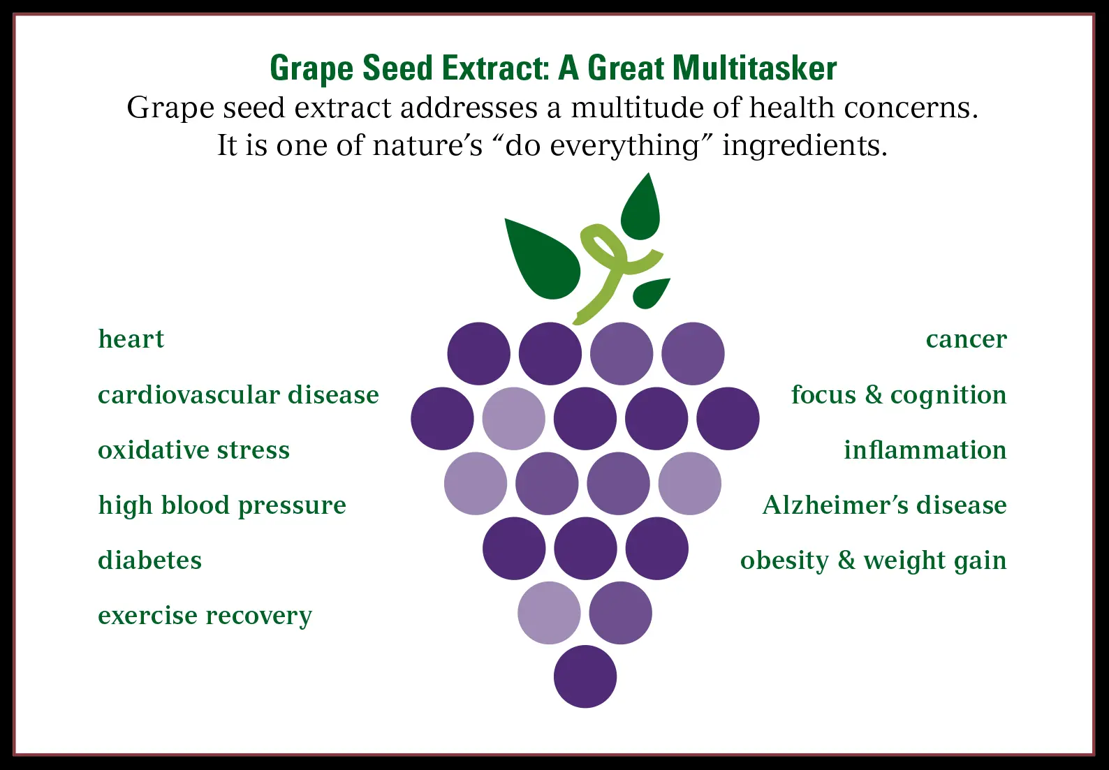Grape Seed Extract Powder Benefits