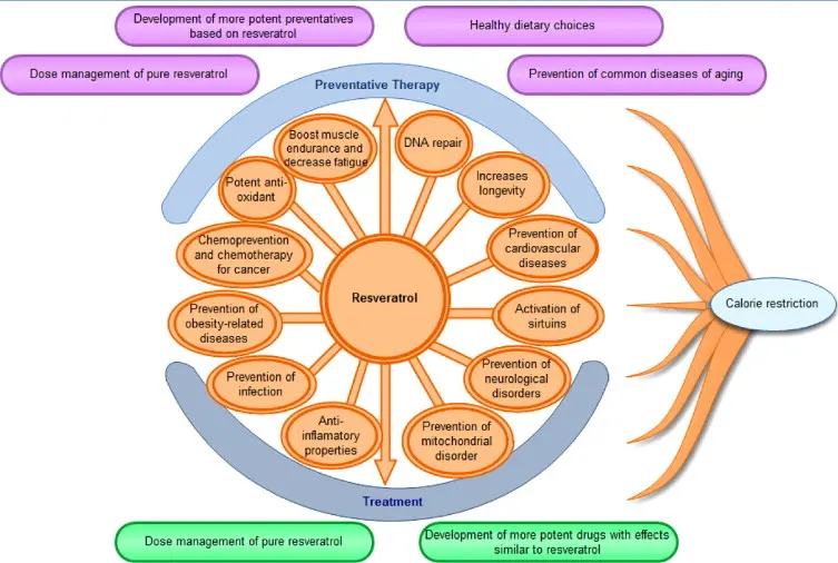 Benefits of Resveratrol 