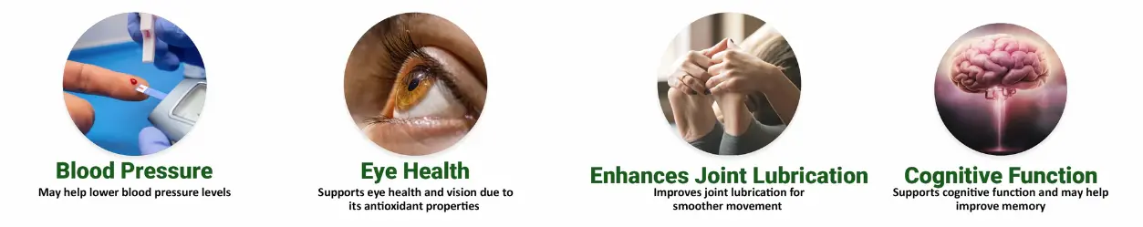 grape seed extract benefits