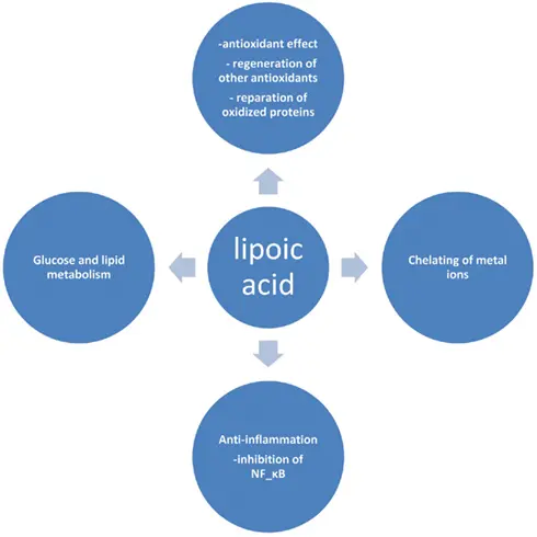 Alpha Lipoic Acid for diabetes