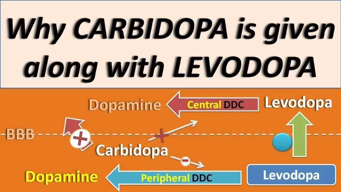 Why Is Carbidopa Combined with Levodopa?