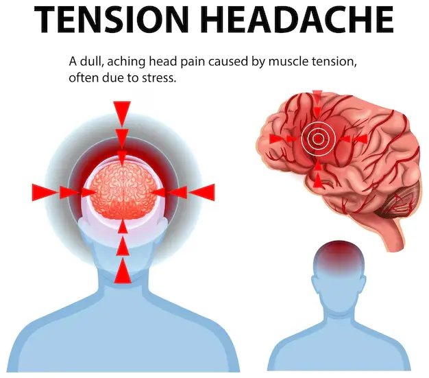 Valerian Root Extract Valeric Acid Benefits