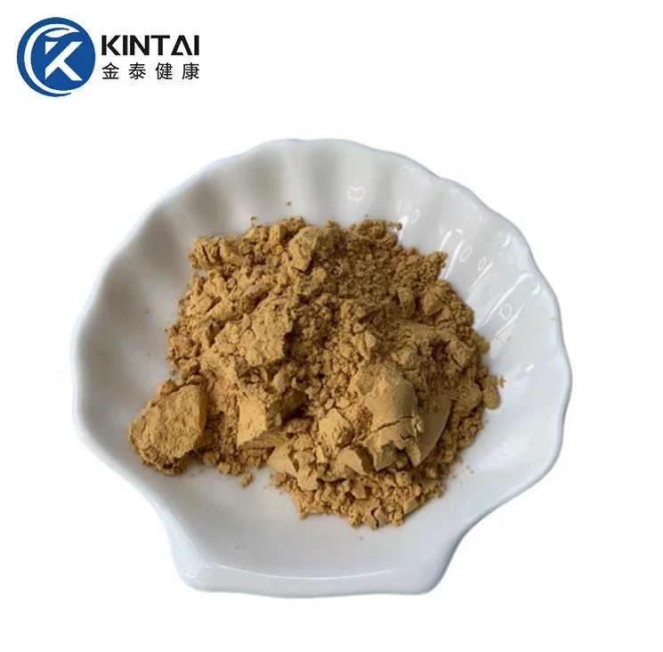 Agaricus blazei extract powder Agaricus blazei extract powder