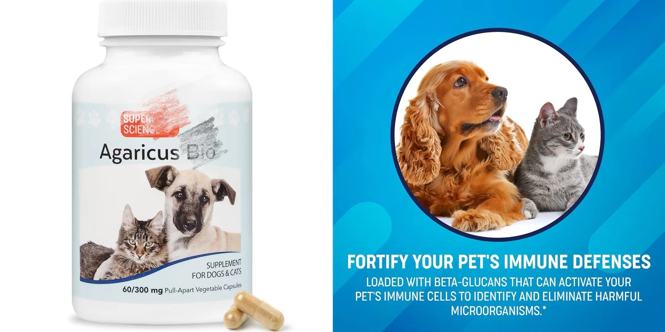 The Applications of Agaricus Blazei Mushroom Extract for Dogs The Applications of Agaricus Blazei Mushroom Extract for Dogs