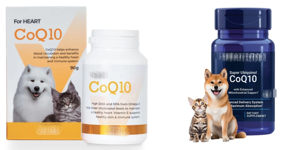 Coenzyme Q10 for Dogs