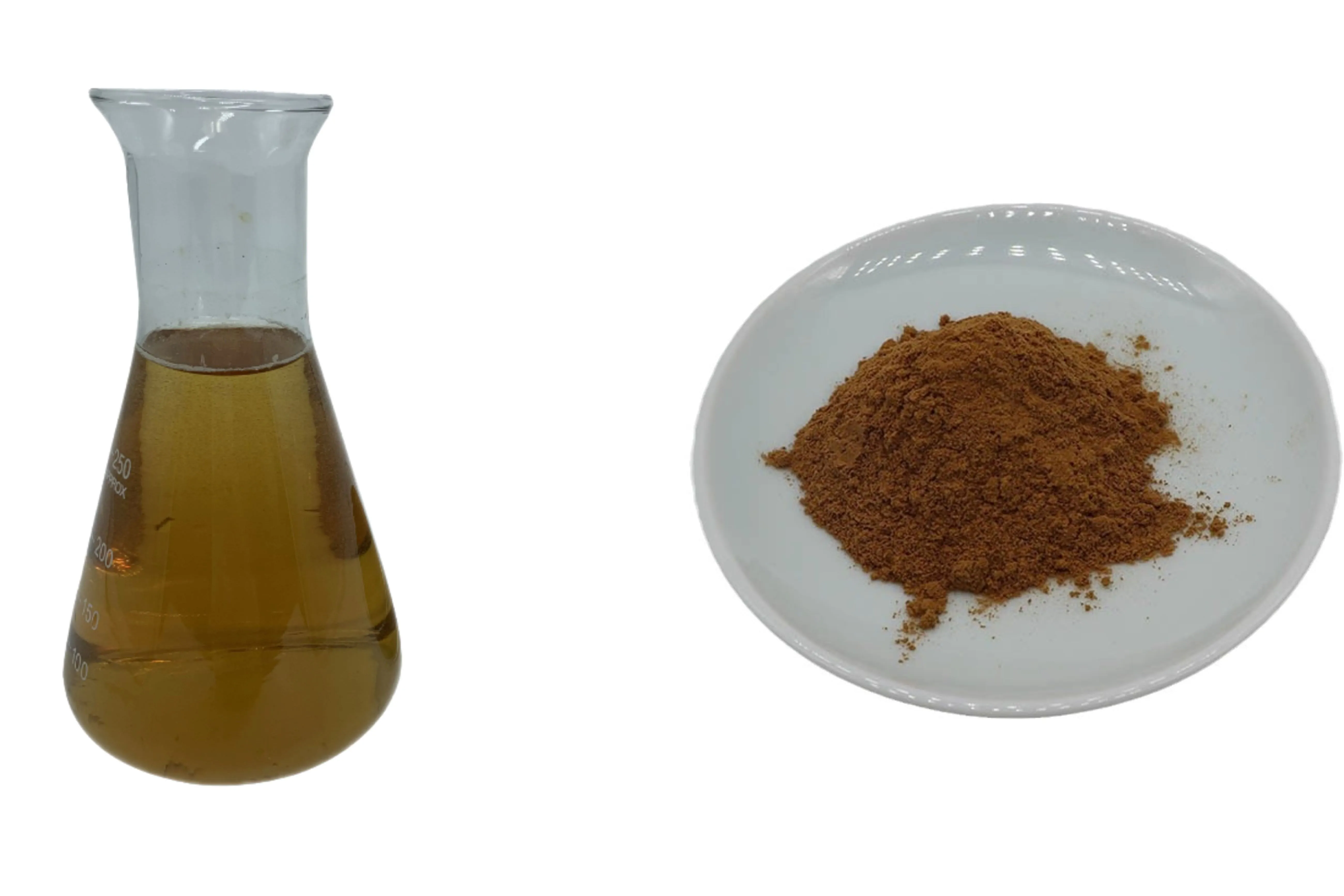 Jujube extract powder 