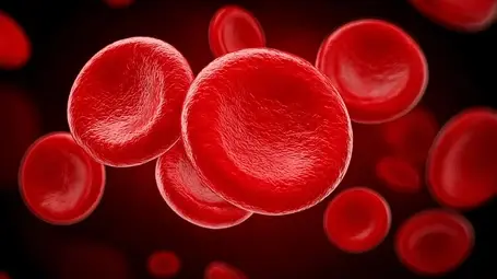 Benefits of Jujube Extract Benefits of Jujube Extract