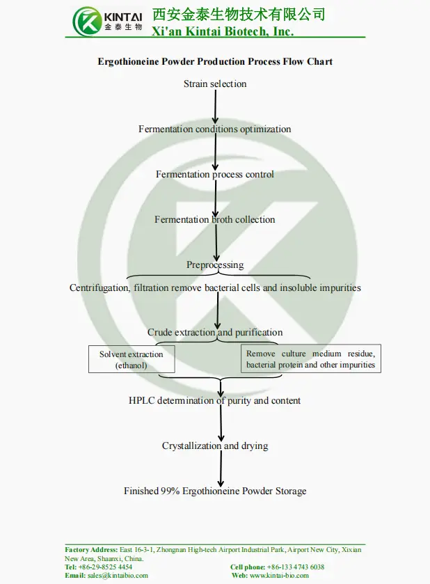 L-Ergothioneine Powder Production Process