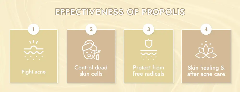 Propolis Extract Benefits Propolis Extract Benefits