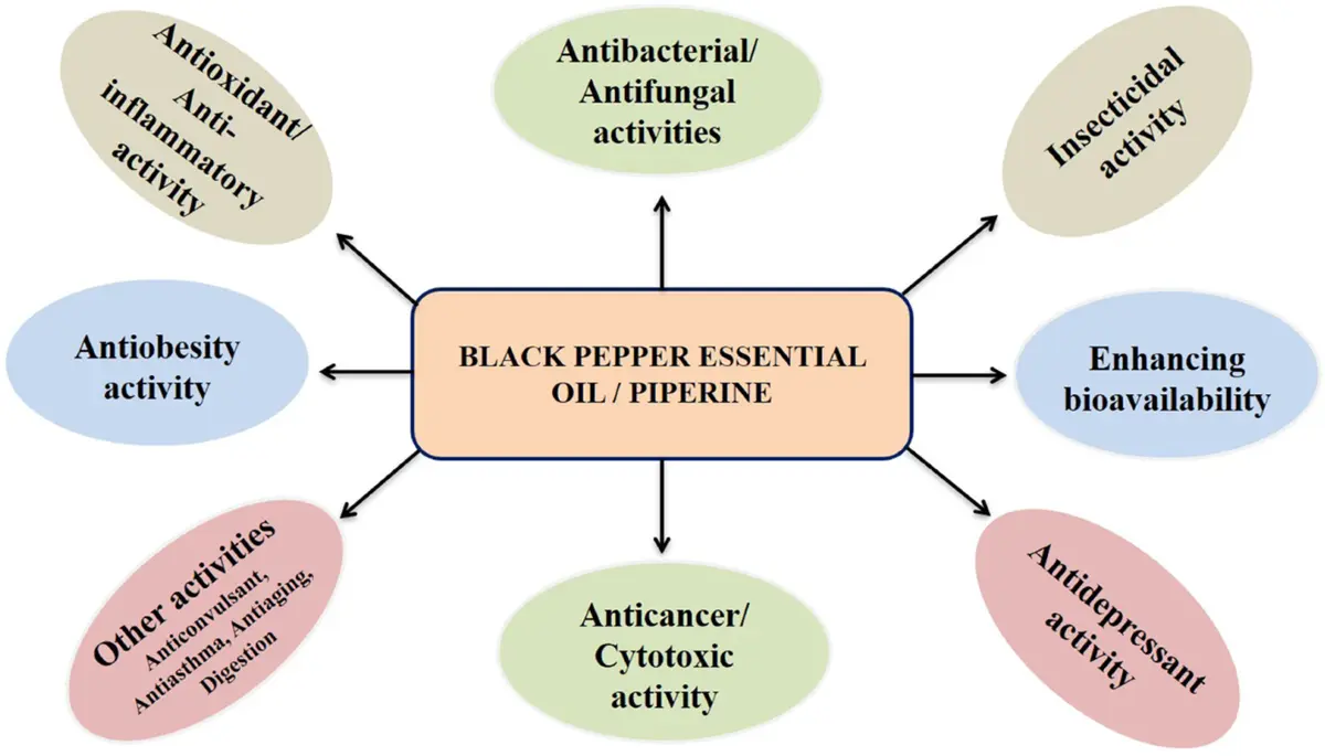 Benefits of Piperine