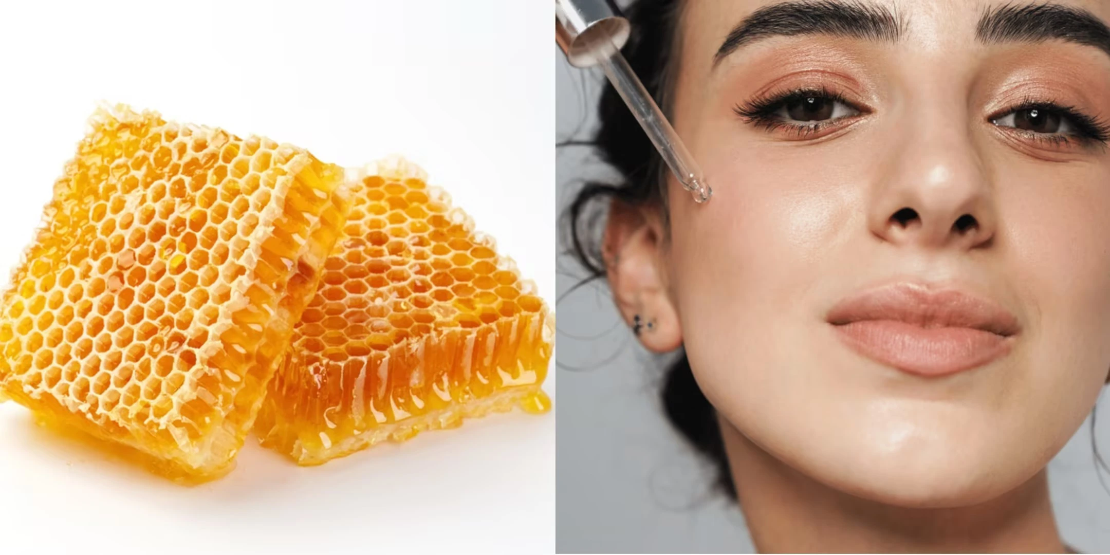 Official Certifications of Propolis Official Certifications of Propolis