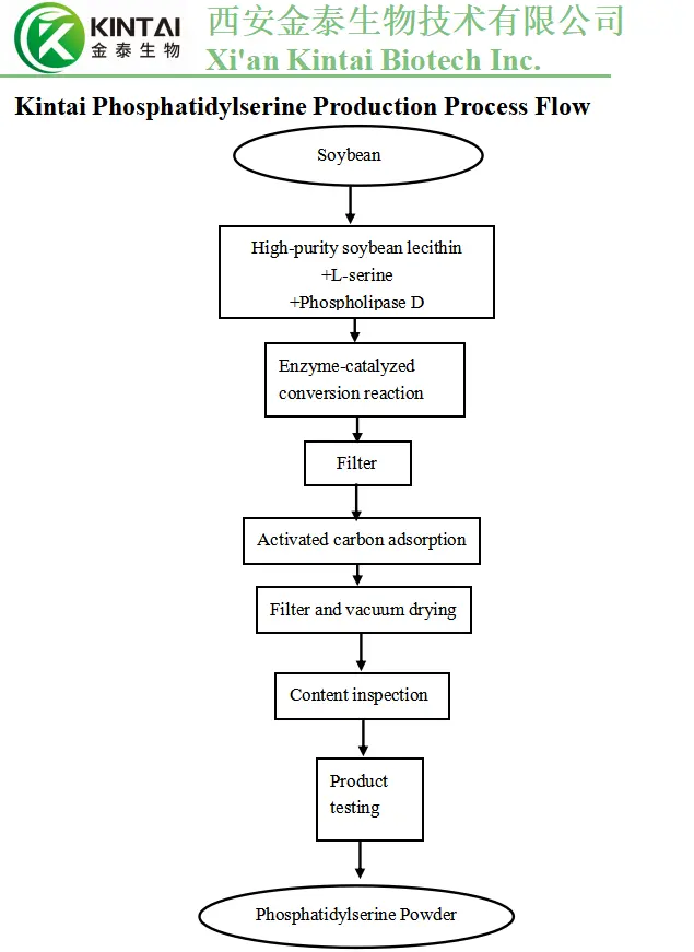 Phosphatidylserine Extraction Process