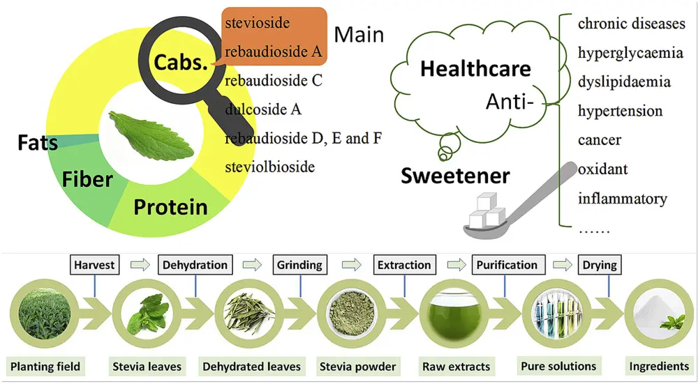 Is Stevia Leaf Extract Good for You? Is Stevia Leaf Extract Good for You?