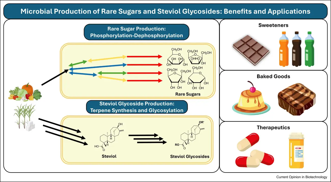 Is Stevia Leaf Extract Good for You?