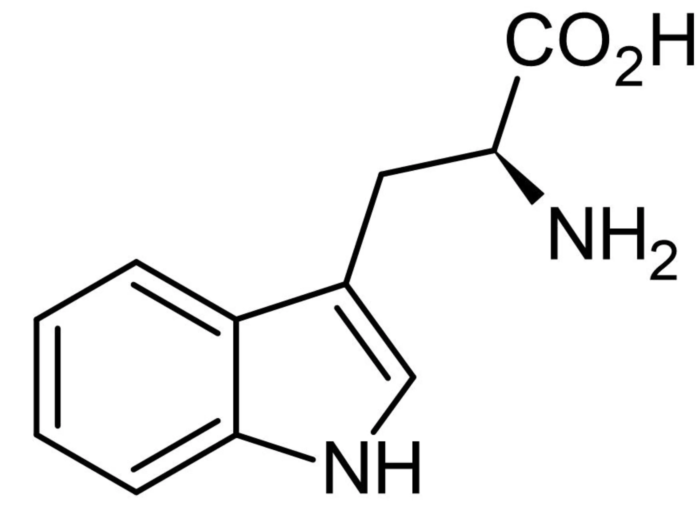 L-tryptophan Structure