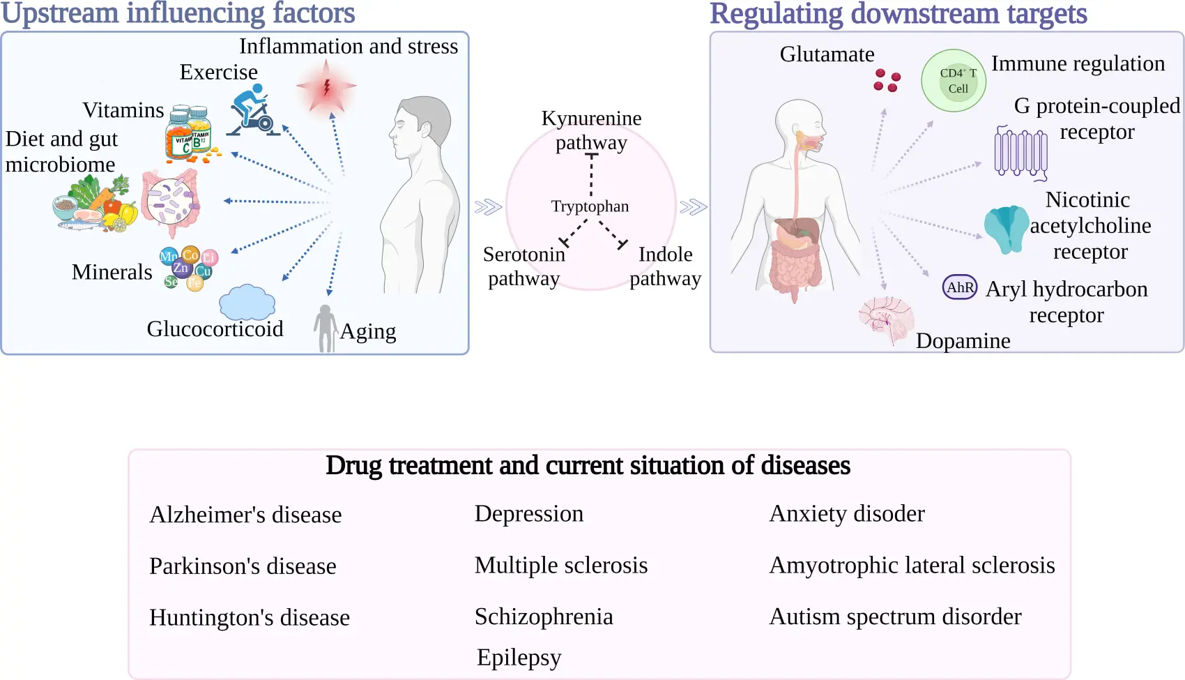 L Tryptophan Benefits