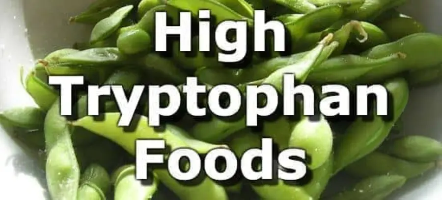 Which foods are high in tryptophan? Which foods are high in tryptophan?