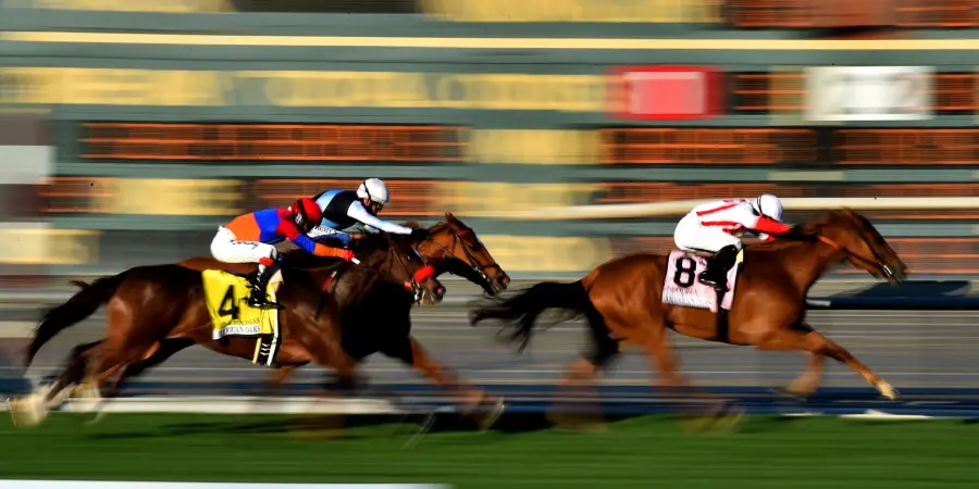 L-tryptophan for horses L-tryptophan for horses