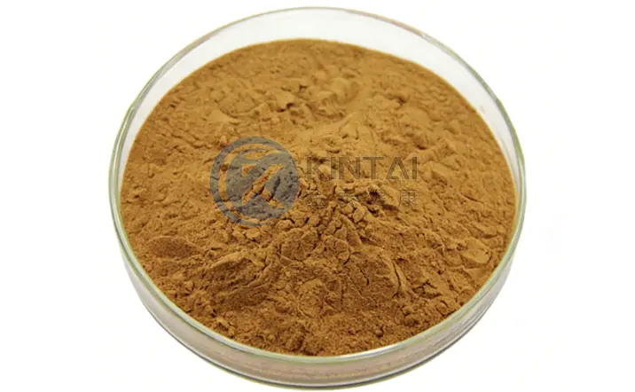 Chaga Extract Powder Manufacturers and Suppliers Chaga Extract Powder Manufacturers and Suppliers
