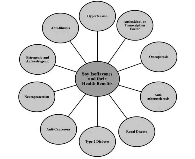 What are the benefits of soy isoflavones for menopause?