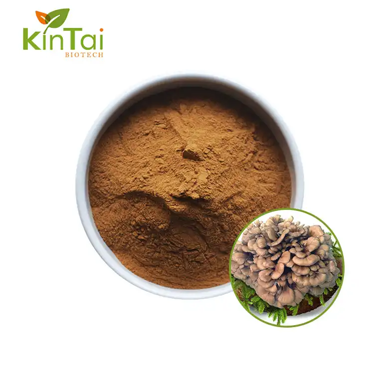 Maitake Mushroom Extract Powder