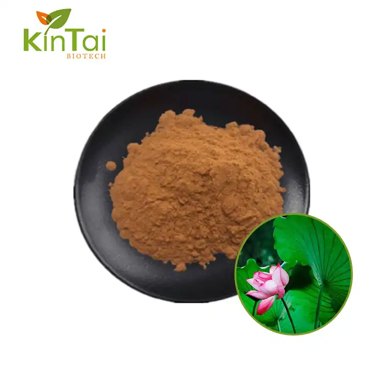 Lotus Leaf Extract Nuciferine Powder