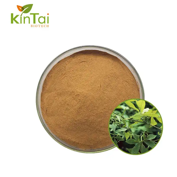 Gynostemma Extract Powder