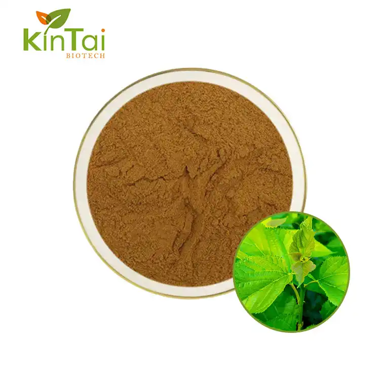 Mulberry Leaf Extract Powder