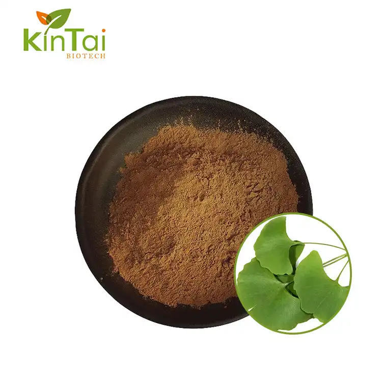 Ginkgo Biloba Extract Powder