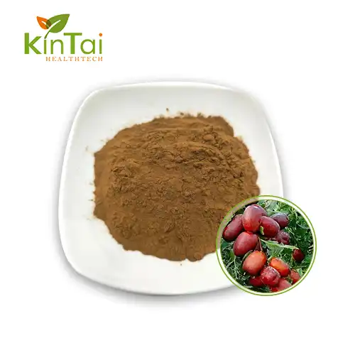 Jujube Extract Powder