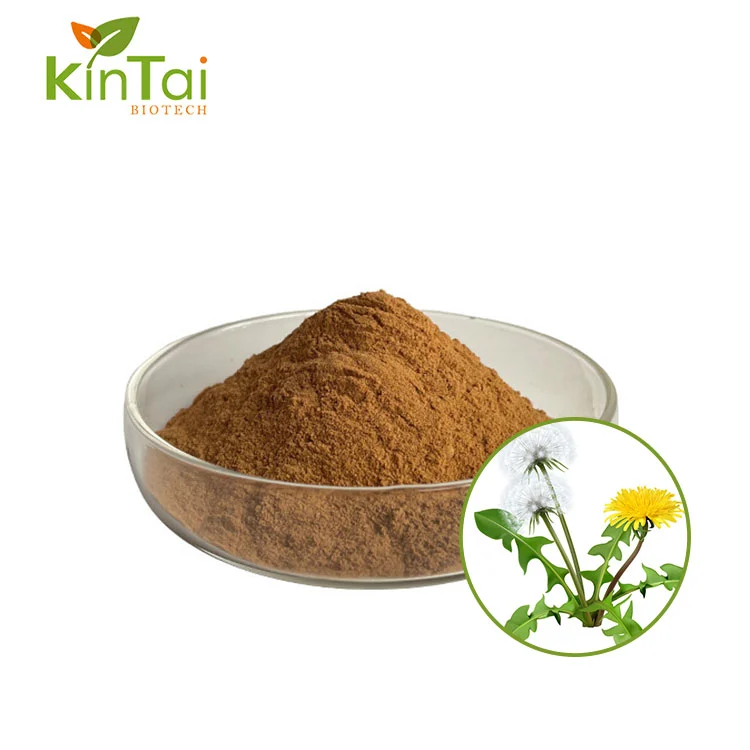 Dandelion Extract Powder